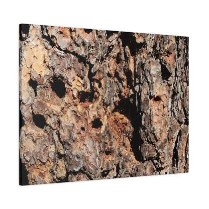 Tree Bark Mosaic - Unique Frameless Canvas Wall Art - Art By Earth