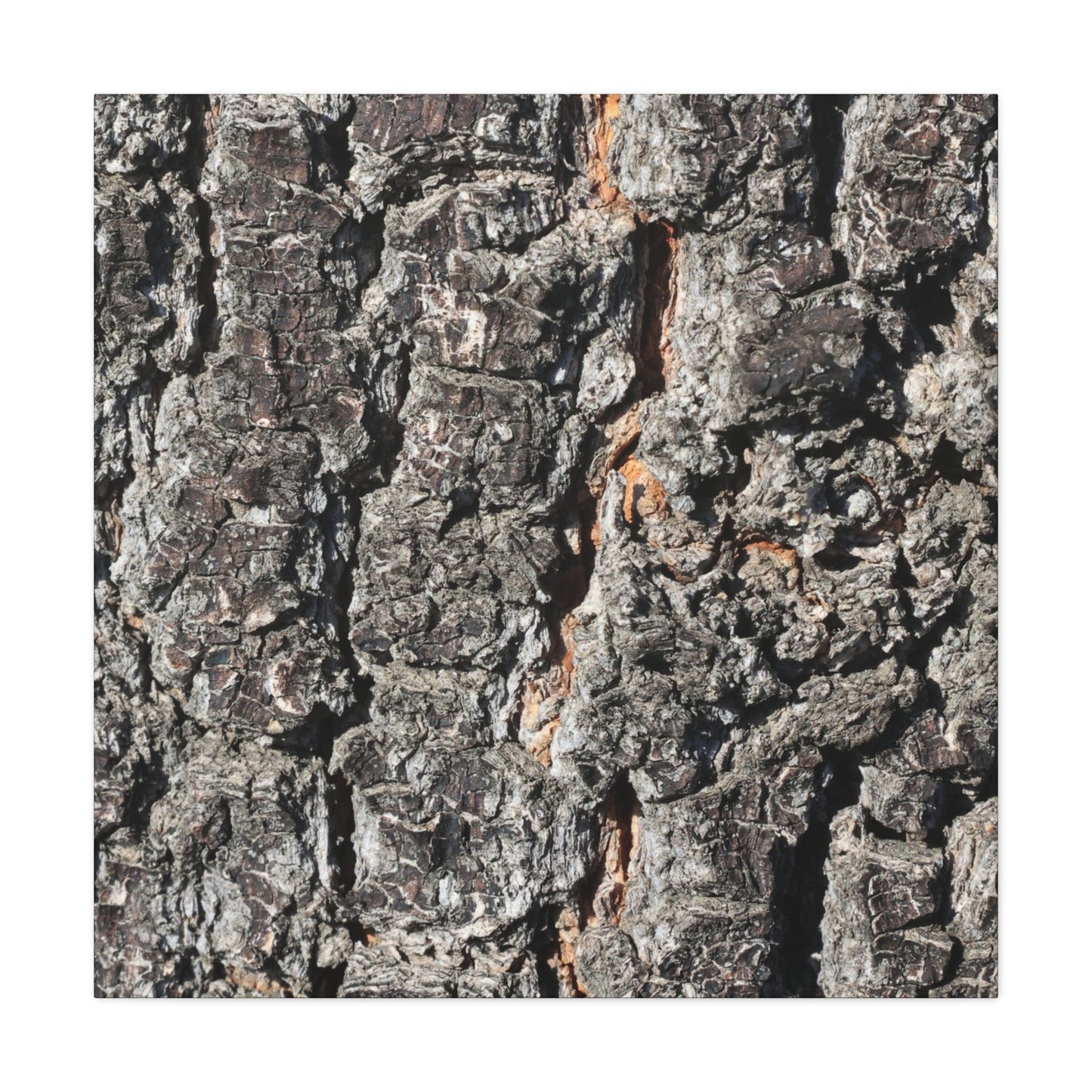 Arboreal Skin - Unique Frameless Canvas Wall Art - Art By Earth