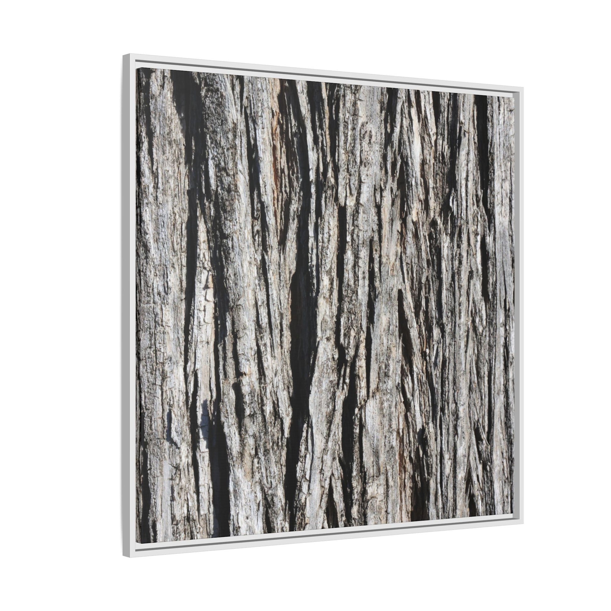 Bark Lines - Unique Stretched Canvas Wall Art - Art By Earth