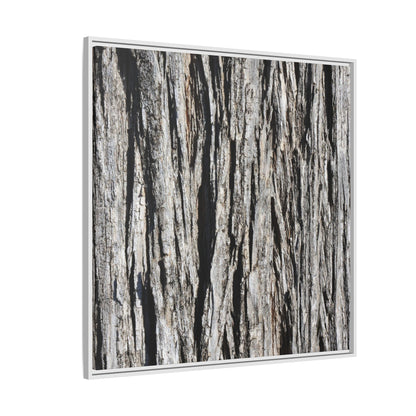 Bark Lines - Unique Stretched Canvas Wall Art - Art By Earth