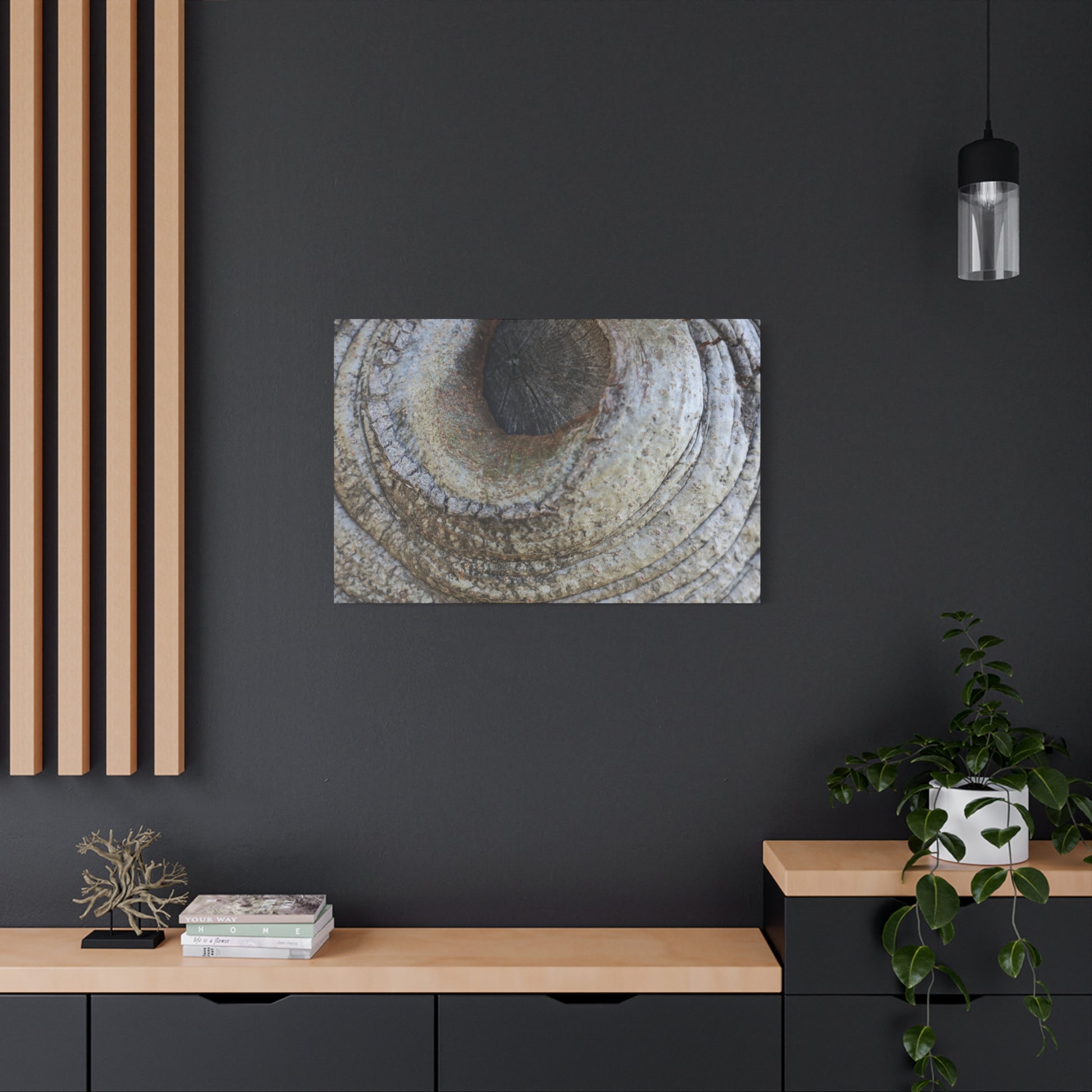 Bark's Eye - Unique Frameless Canvas Wall Art - Art By Earth