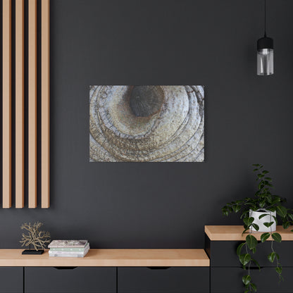 Bark's Eye - Unique Frameless Canvas Wall Art - Art By Earth