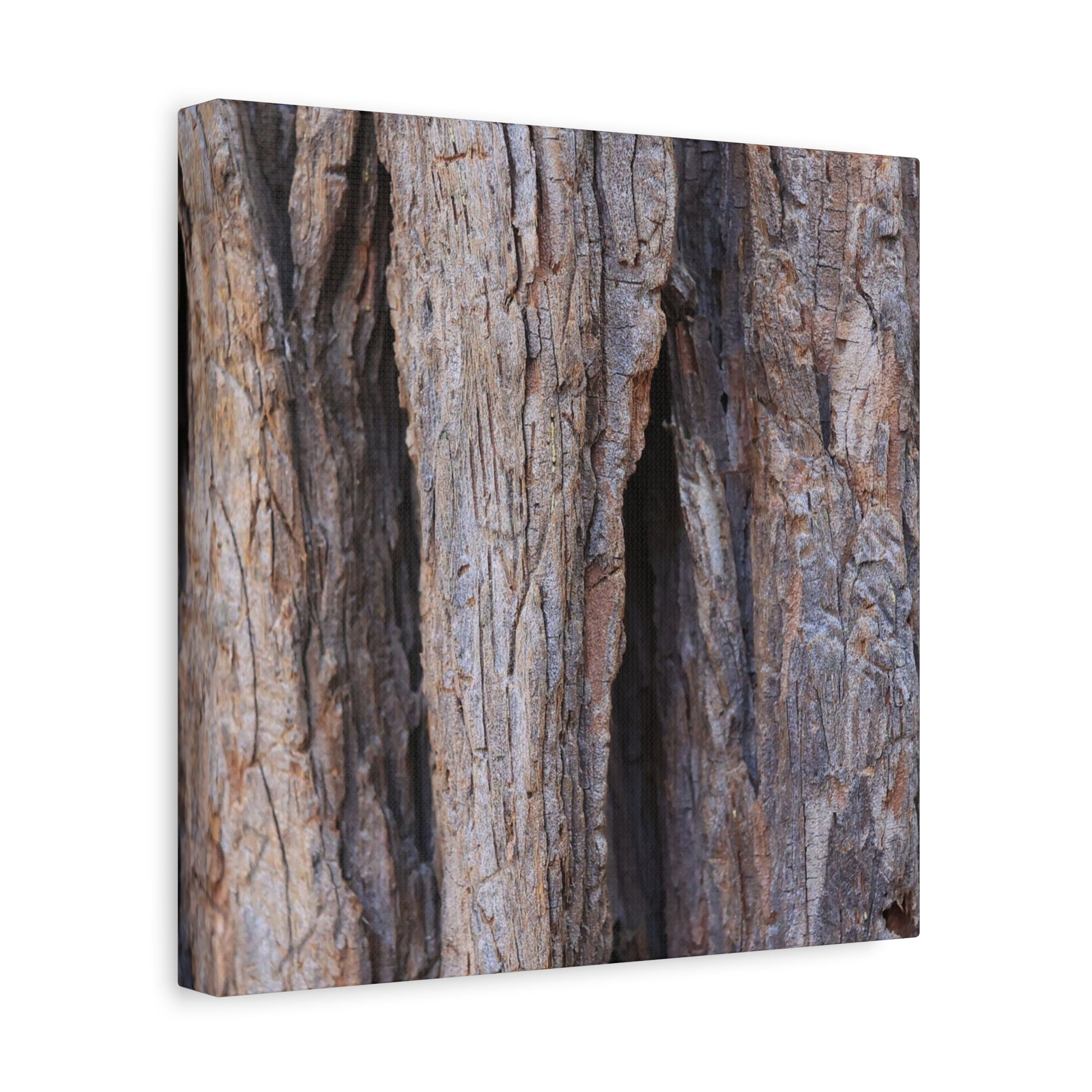 Fractal Skin - Unique Frameless Canvas Wall Art - Art By Earth