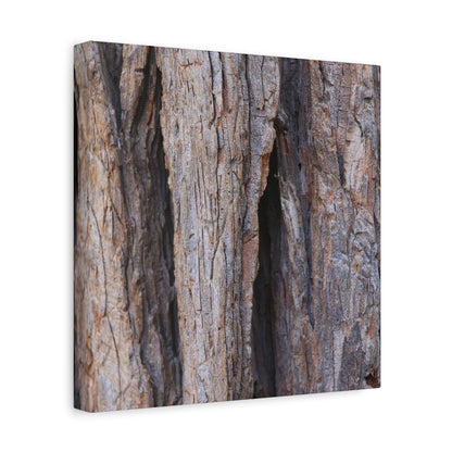 Fractal Skin - Unique Frameless Canvas Wall Art - Art By Earth