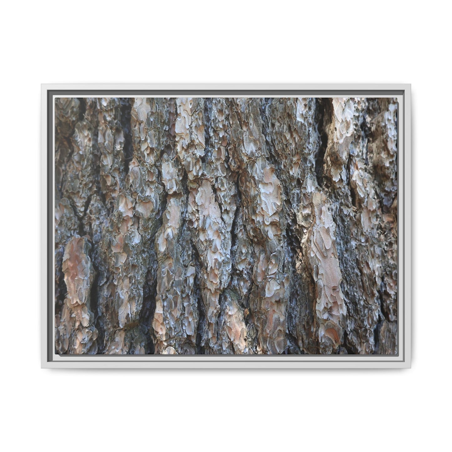 Bark Whispers - Unique Stretched Canvas Wall Art - Art By Earth