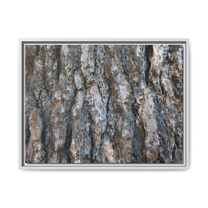 Bark Whispers - Unique Stretched Canvas Wall Art - Art By Earth