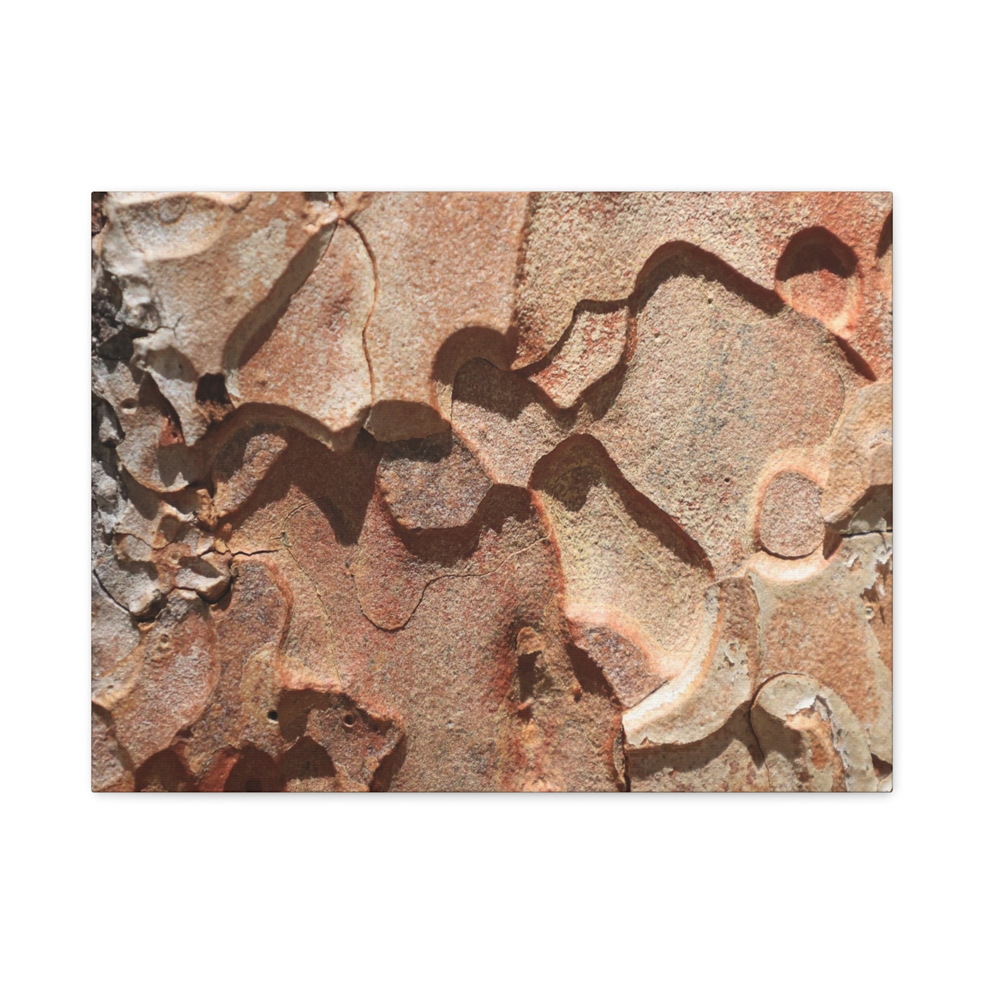 Terracotta Echoes - Unique Frameless Canvas Wall Art - Art By Earth