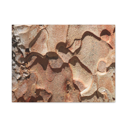Terracotta Echoes - Unique Frameless Canvas Wall Art - Art By Earth