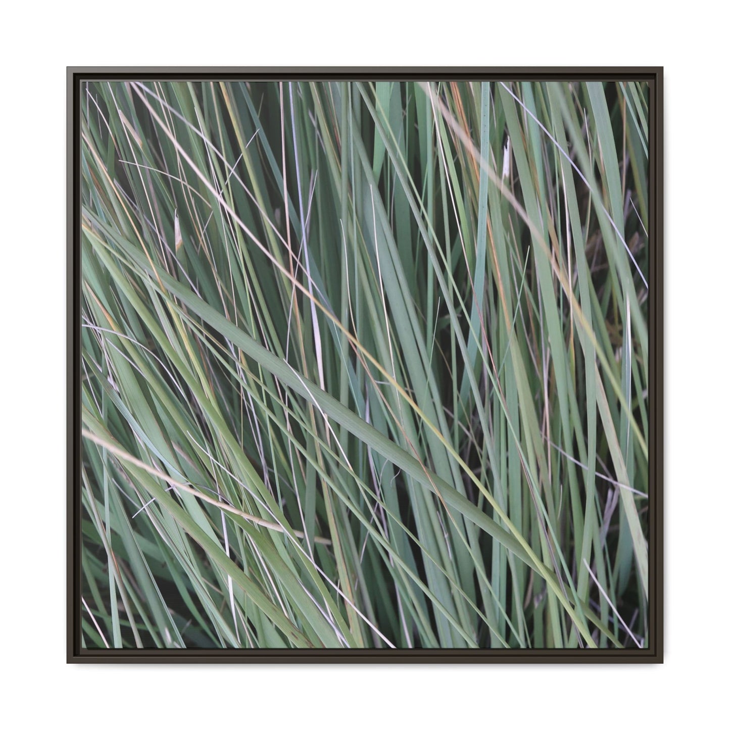 Grassland Symphony - Unique Stretched Canvas Wall Art - Art By Earth