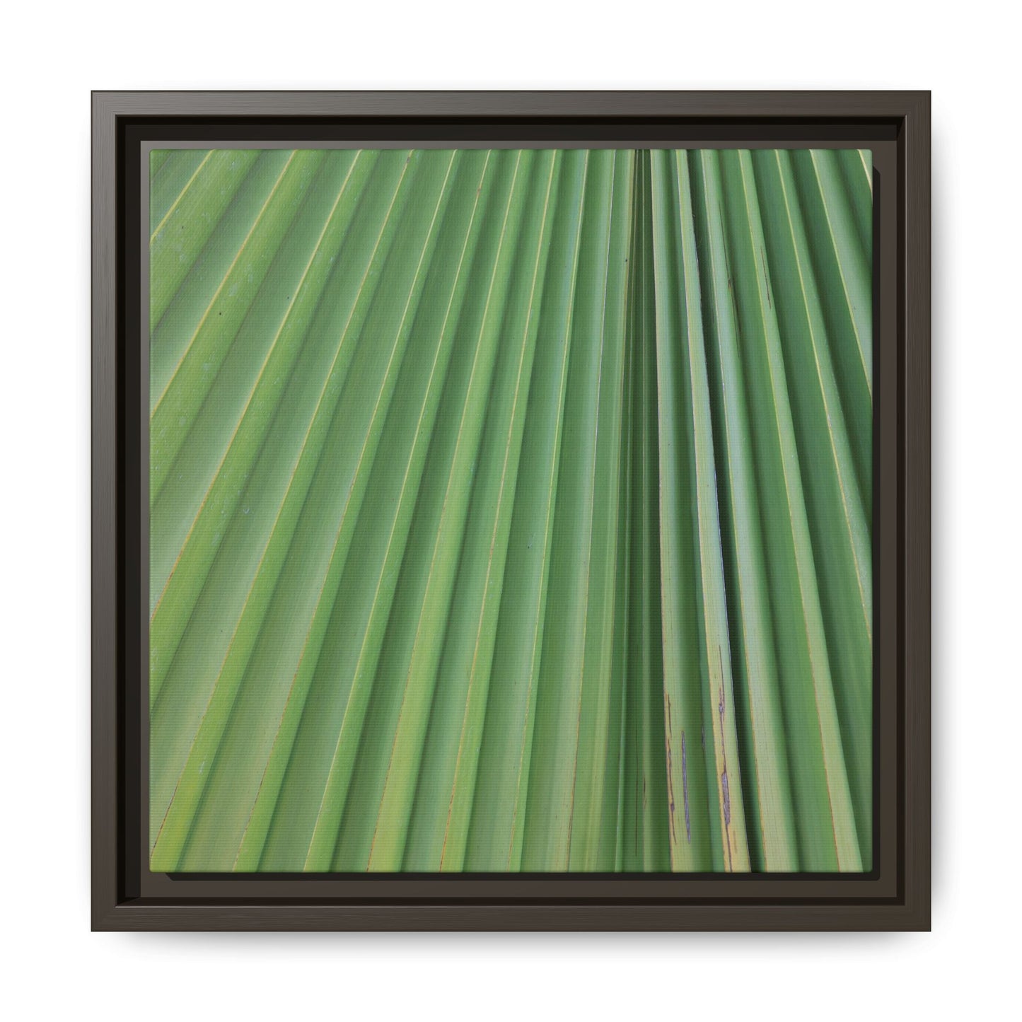 Emerald Rays - Unique Stretched Canvas Wall Art - Art By Earth