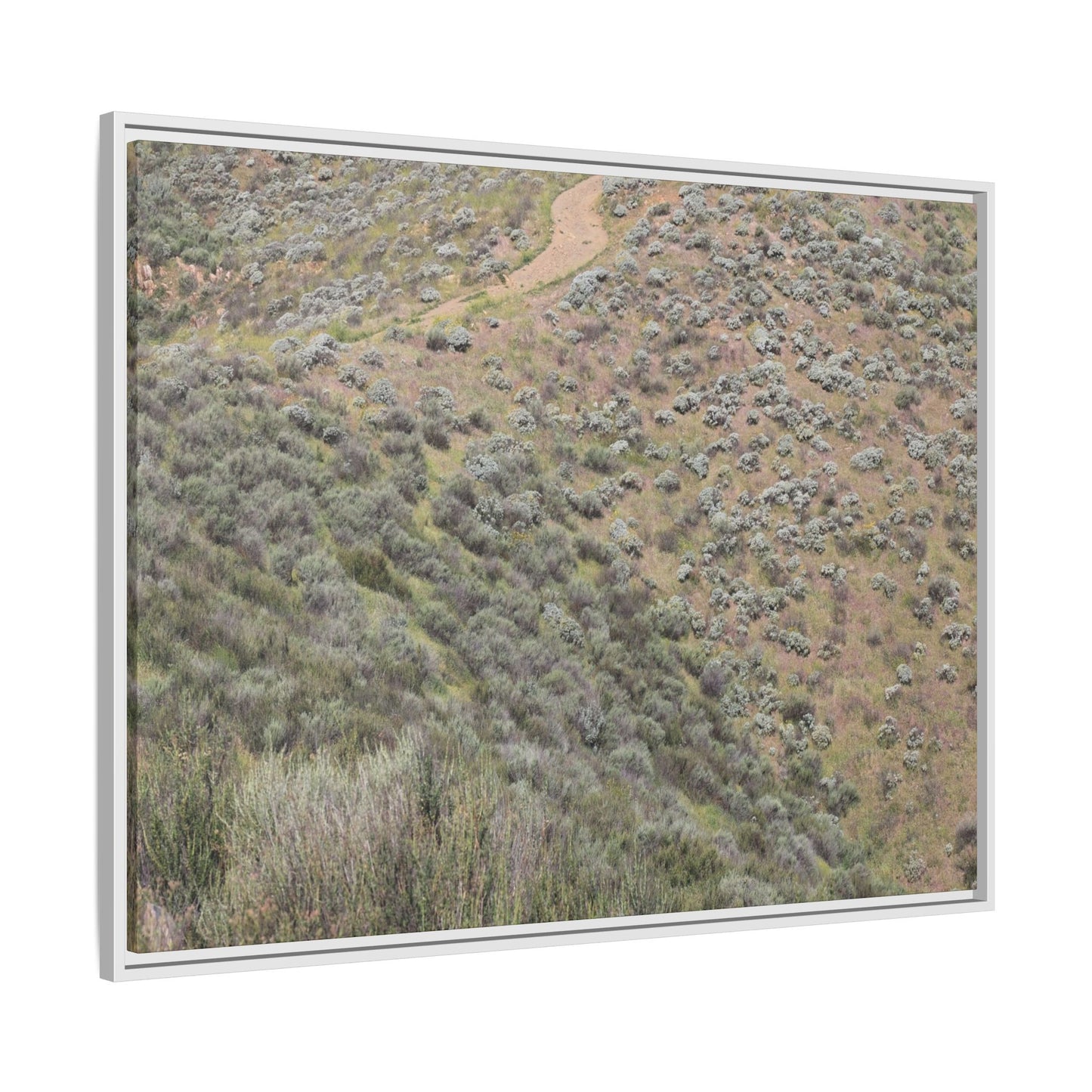 Arid Landscape with Winding Path - Unique Stretched Canvas Wall Art - Art By Earth