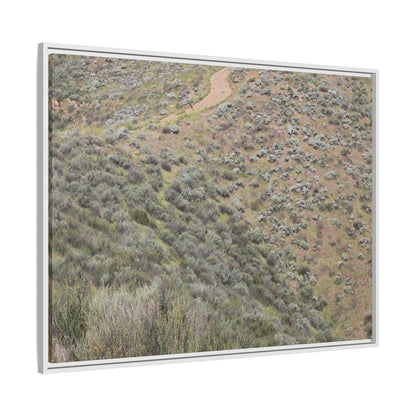 Arid Landscape with Winding Path - Unique Stretched Canvas Wall Art - Art By Earth