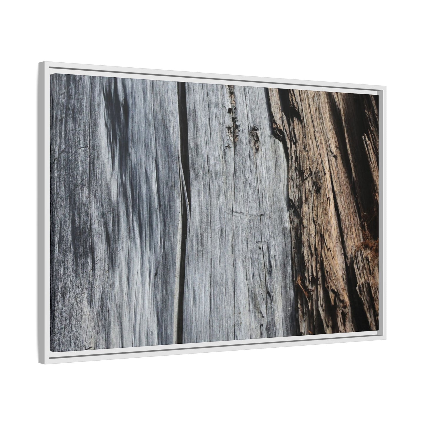 Wood's Lament - Unique Stretched Canvas Wall Art - Art By Earth