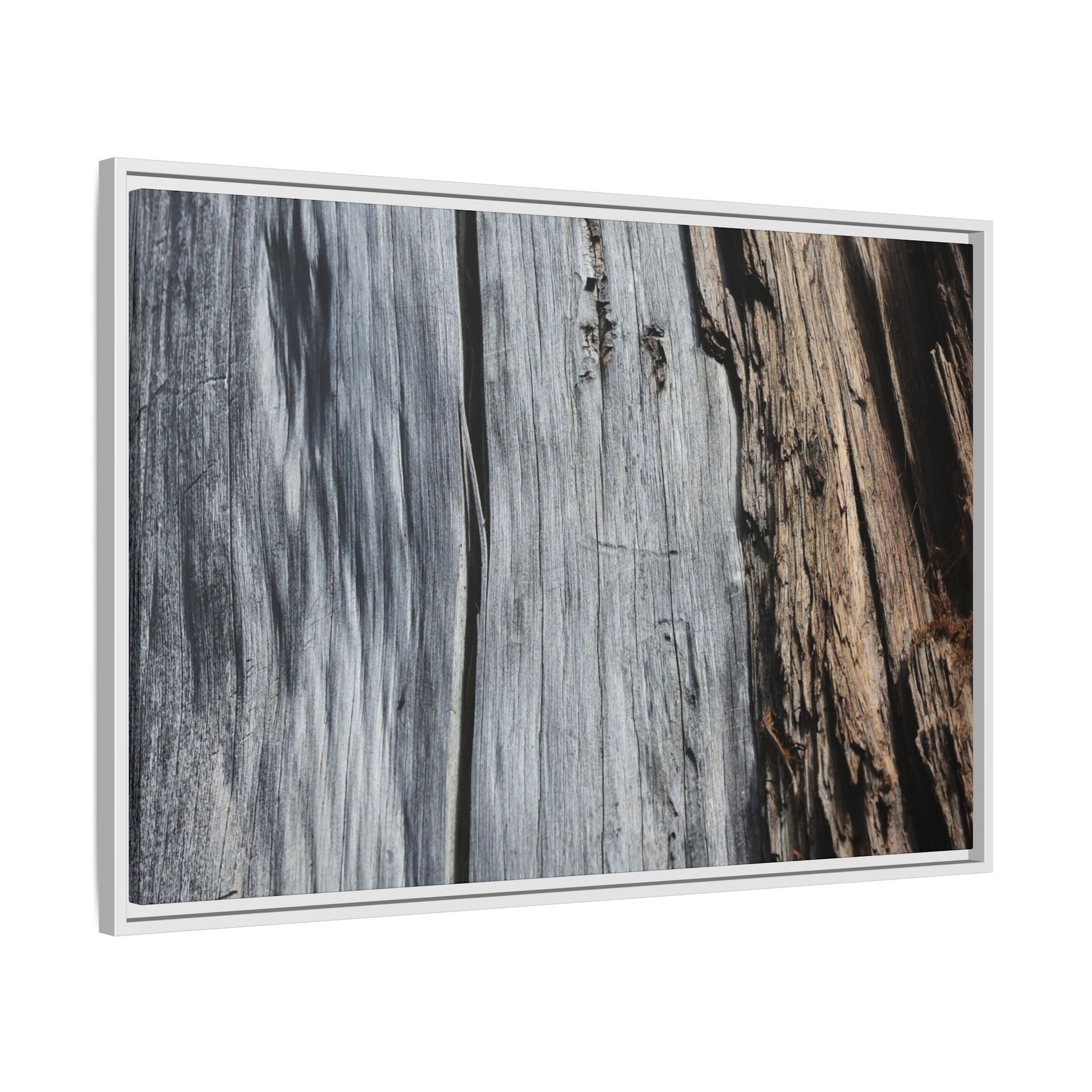 Wood's Lament - Unique Stretched Canvas Wall Art - Art By Earth