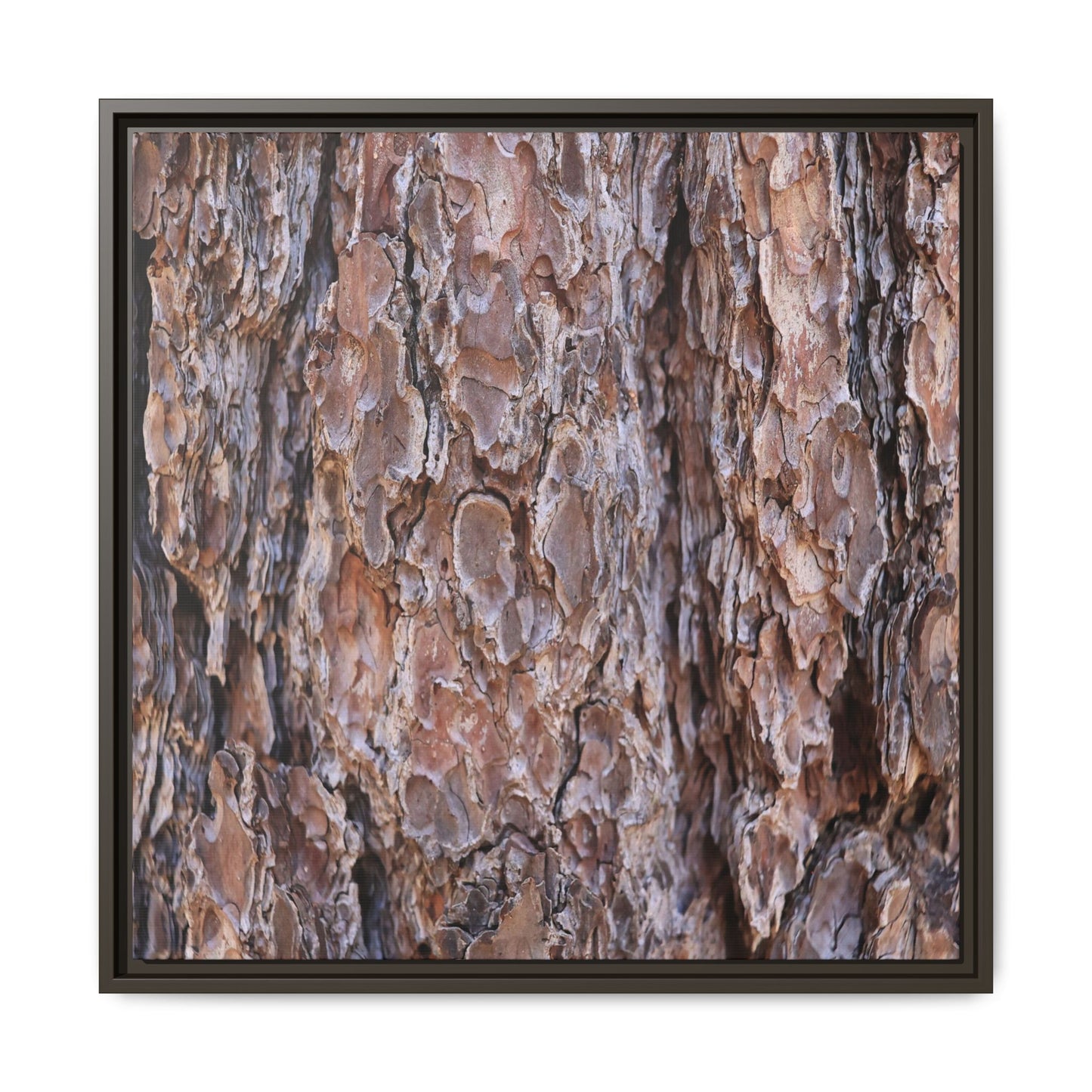 Woody Layers - Unique Stretched Canvas Wall Art - Art By Earth