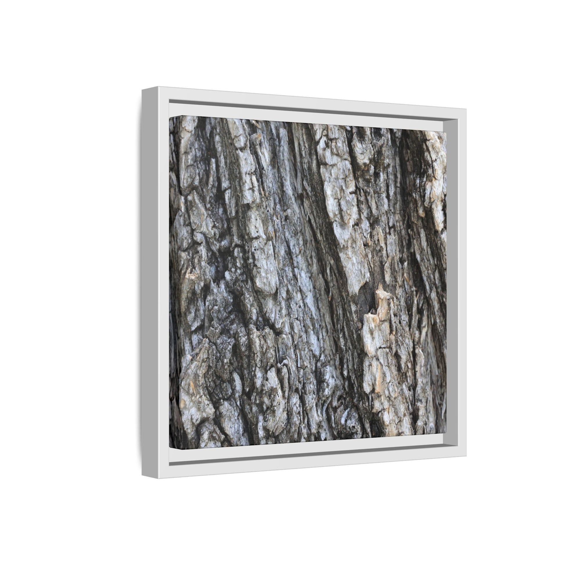 Twisted Textures - Unique Stretched Canvas Wall Art - Art By Earth