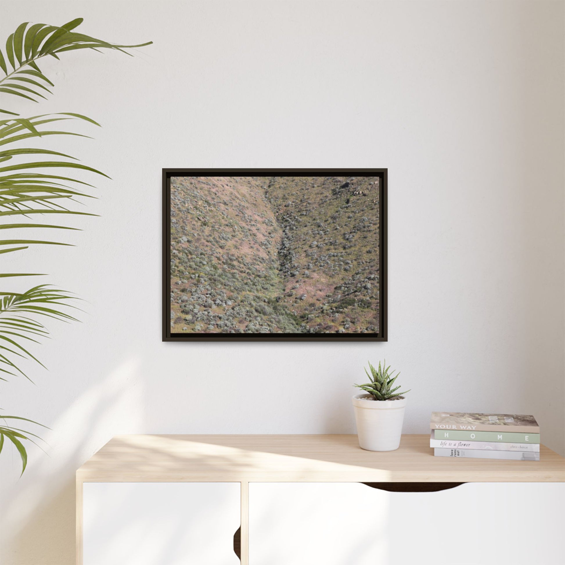 Mountain Slope with Desert Vegetation - Unique Stretched Canvas Wall Art - Art By Earth