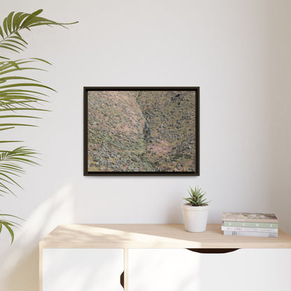Mountain Slope with Desert Vegetation - Unique Stretched Canvas Wall Art - Art By Earth