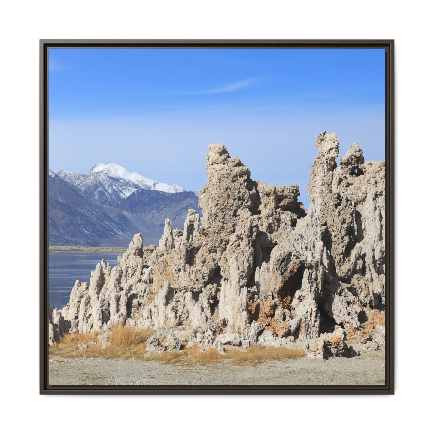 Mono Lake Tufa - Unique Stretched Canvas Wall Art