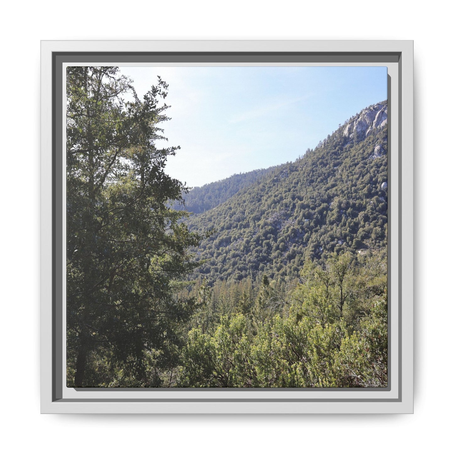 Mountain Valley Forest - Unique Stretched Canvas Wall Art