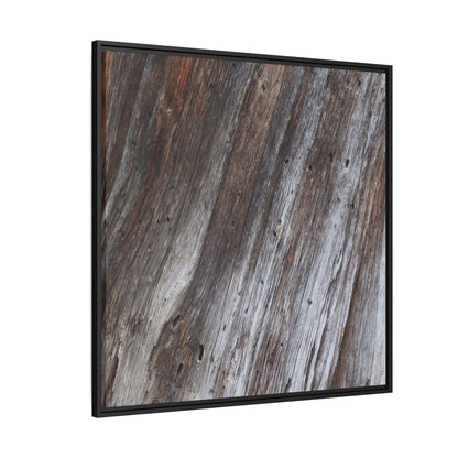 Aged Timber Texture - Unique Stretched Canvas Wall Art - Art By Earth