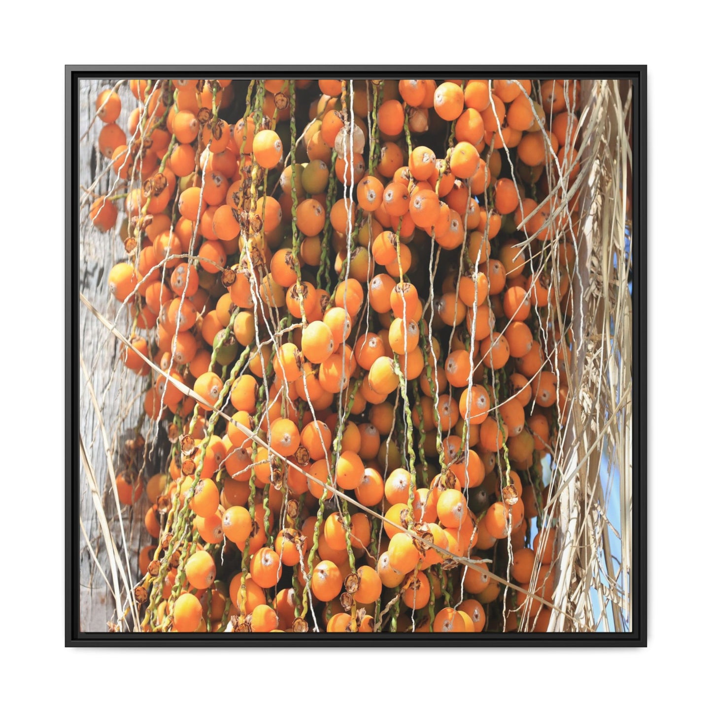 Clusters of Sunlight - Unique Canvas Wall Art - Art By Earth