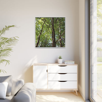 Forest Branches - Unique Stretched Canvas Wall Art