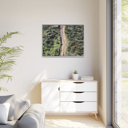 Desert Path Through Sage - Unique Stretched Canvas Wall Art - Art By Earth