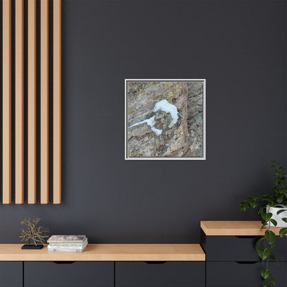 Lichen's Embrace - Unique Stretched Canvas Wall Art