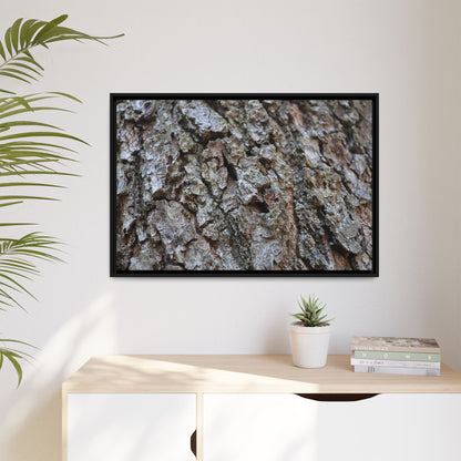 Woodland Canvas - Unique Stretched Canvas Wall Art - Art By Earth