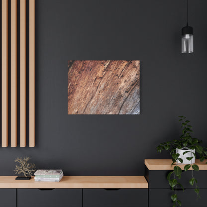 Natural Wood Grain - Unique Frameless Canvas Wall Art - Art By Earth