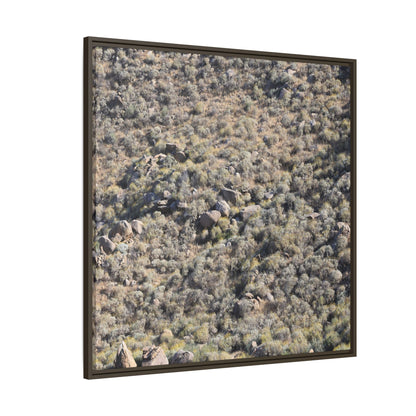 Arid Terrain Study - Unique Stretched Canvas Wall Art - Art By Earth