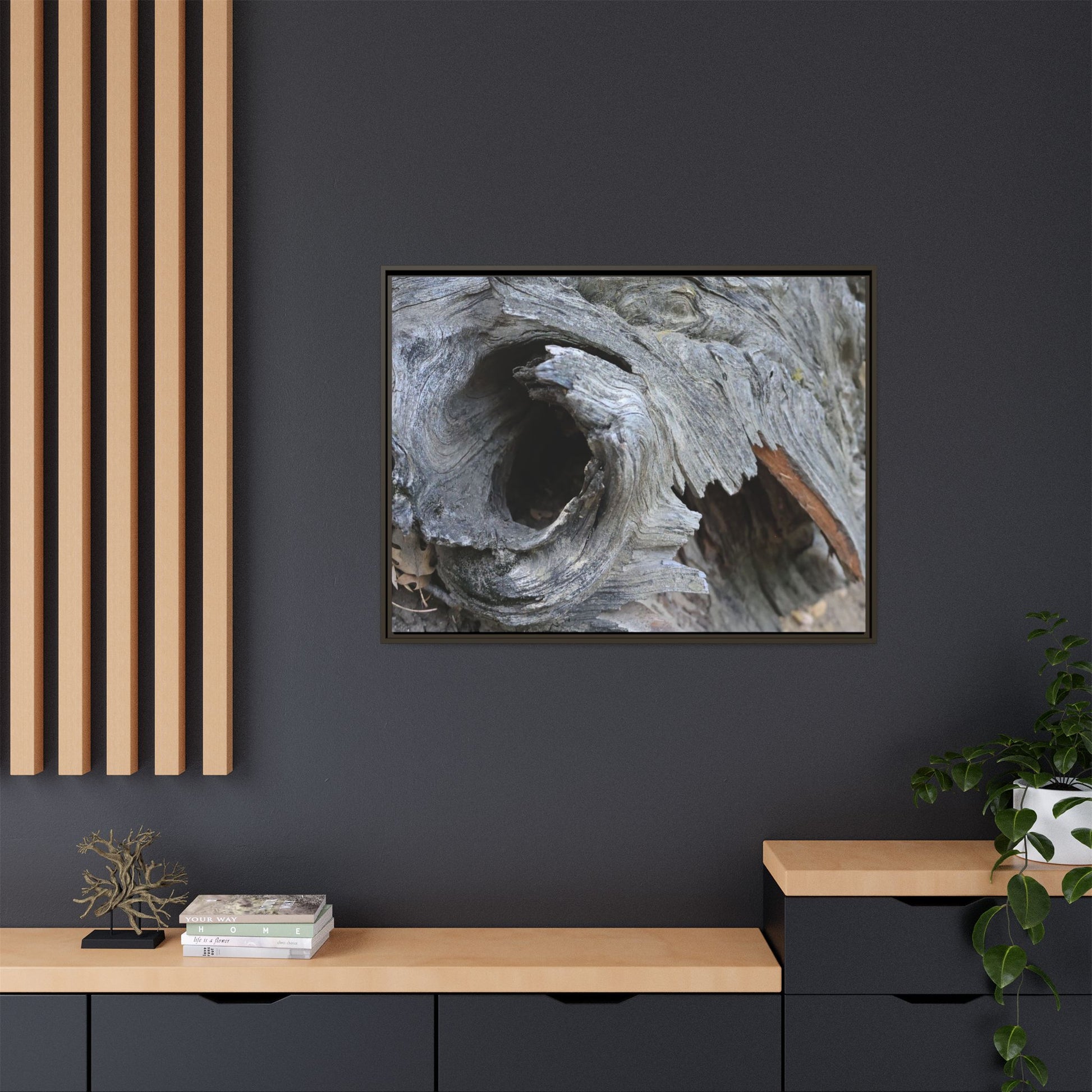 Bark's Labyrinth - Unique Stretched Canvas Wall Art - Art By Earth