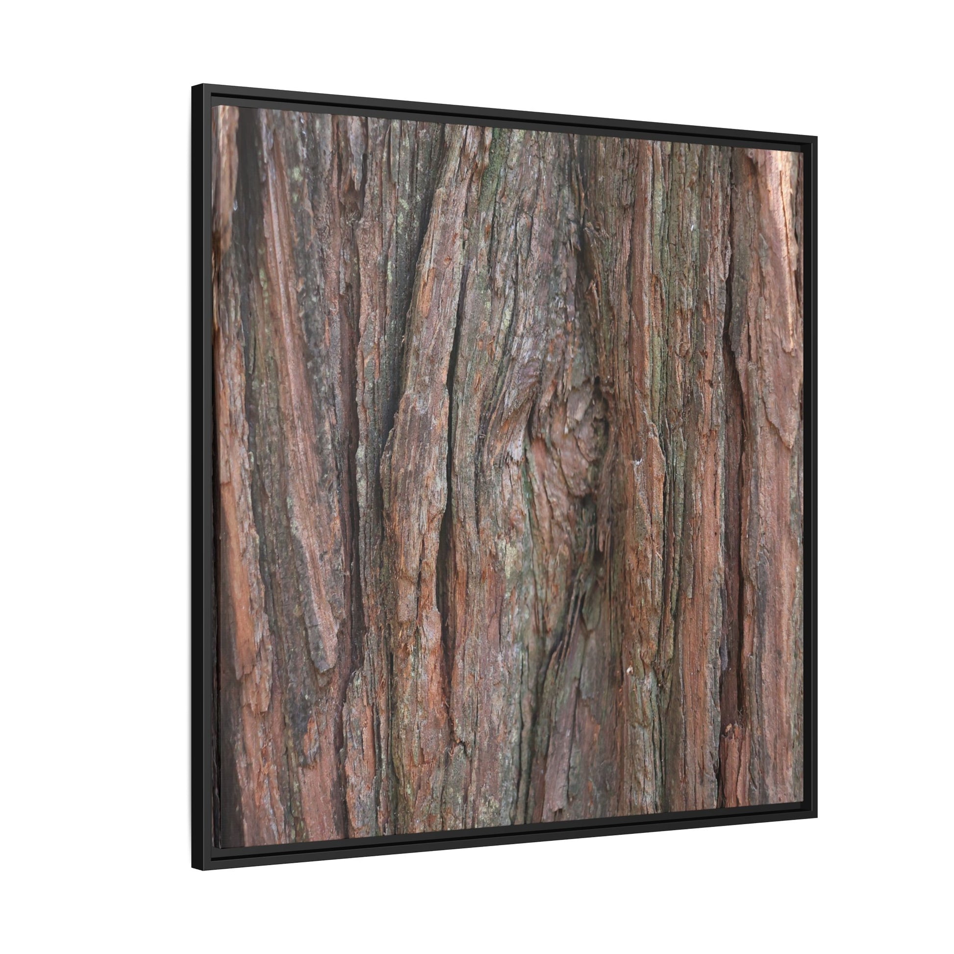 Rugged Textures - Unique Stretched Canvas Wall Art - Art By Earth