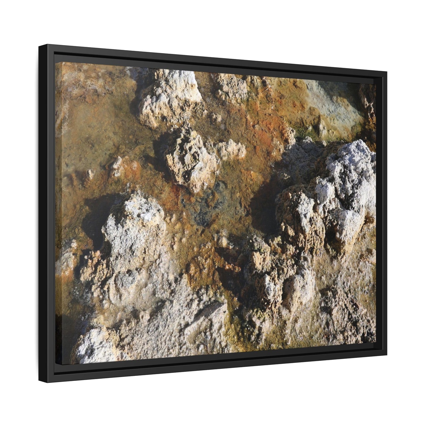 Textural Metamorphosis - Unique Stretched Canvas Wall Art