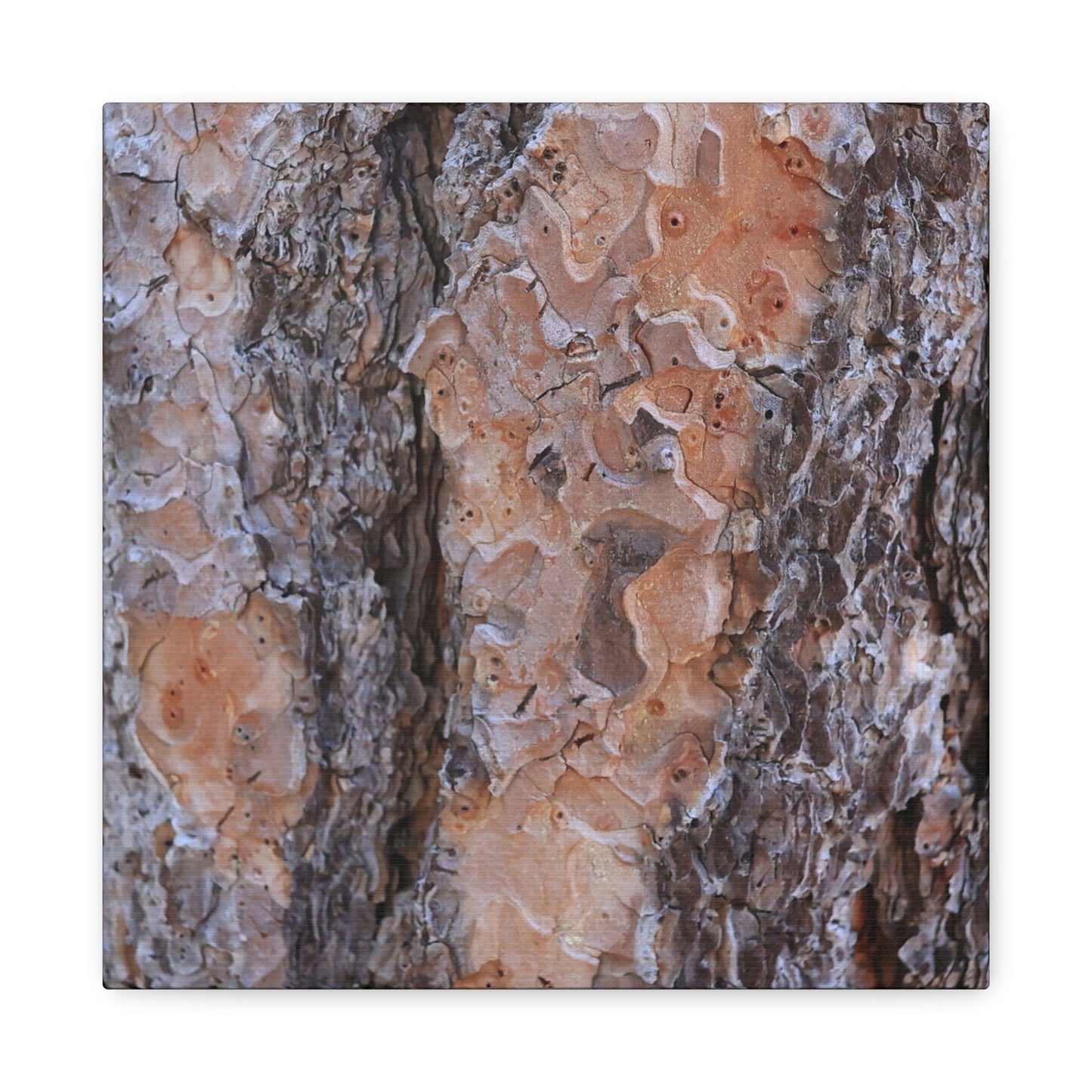 Terracotta Textures - Unique Frameless Canvas Wall Art - Art By Earth