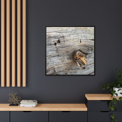 Weathered Wood Texture - Unique Stretched Canvas Wall Art - Art By Earth