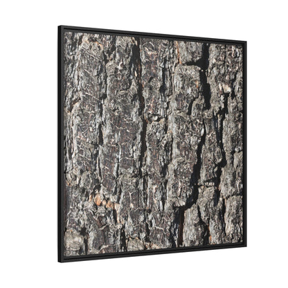Bark Study in Gray - Unique Stretched Canvas Wall Art - Art By Earth