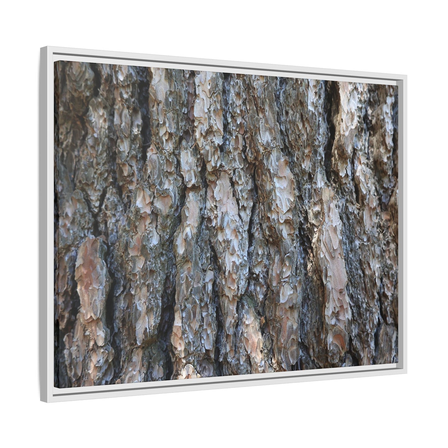 Bark Whispers - Unique Stretched Canvas Wall Art - Art By Earth