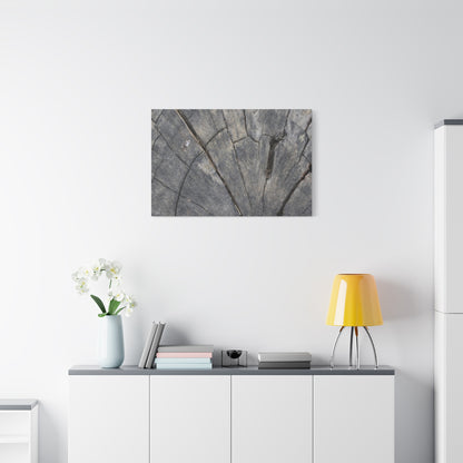 Geological Mosaic - Unique Frameless Canvas Wall Art - Art By Earth