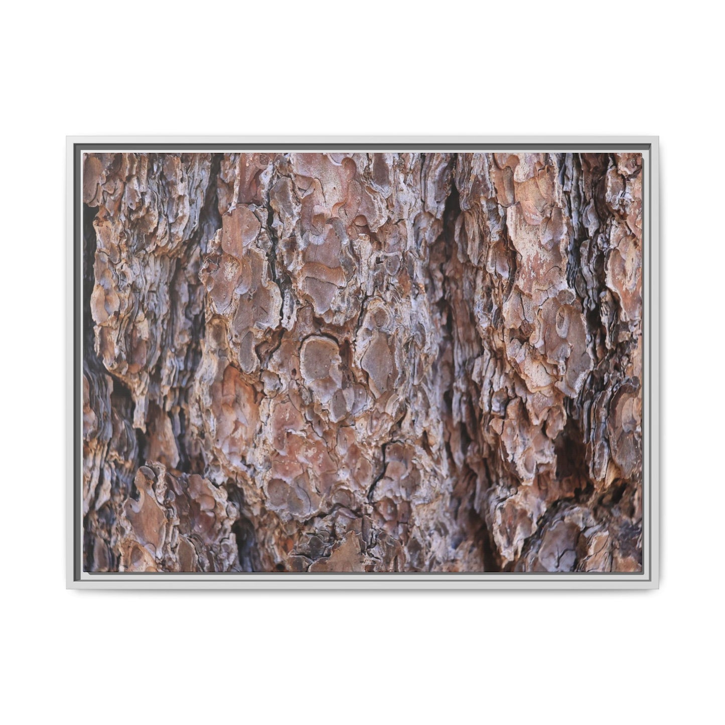 Woody Layers - Unique Stretched Canvas Wall Art - Art By Earth