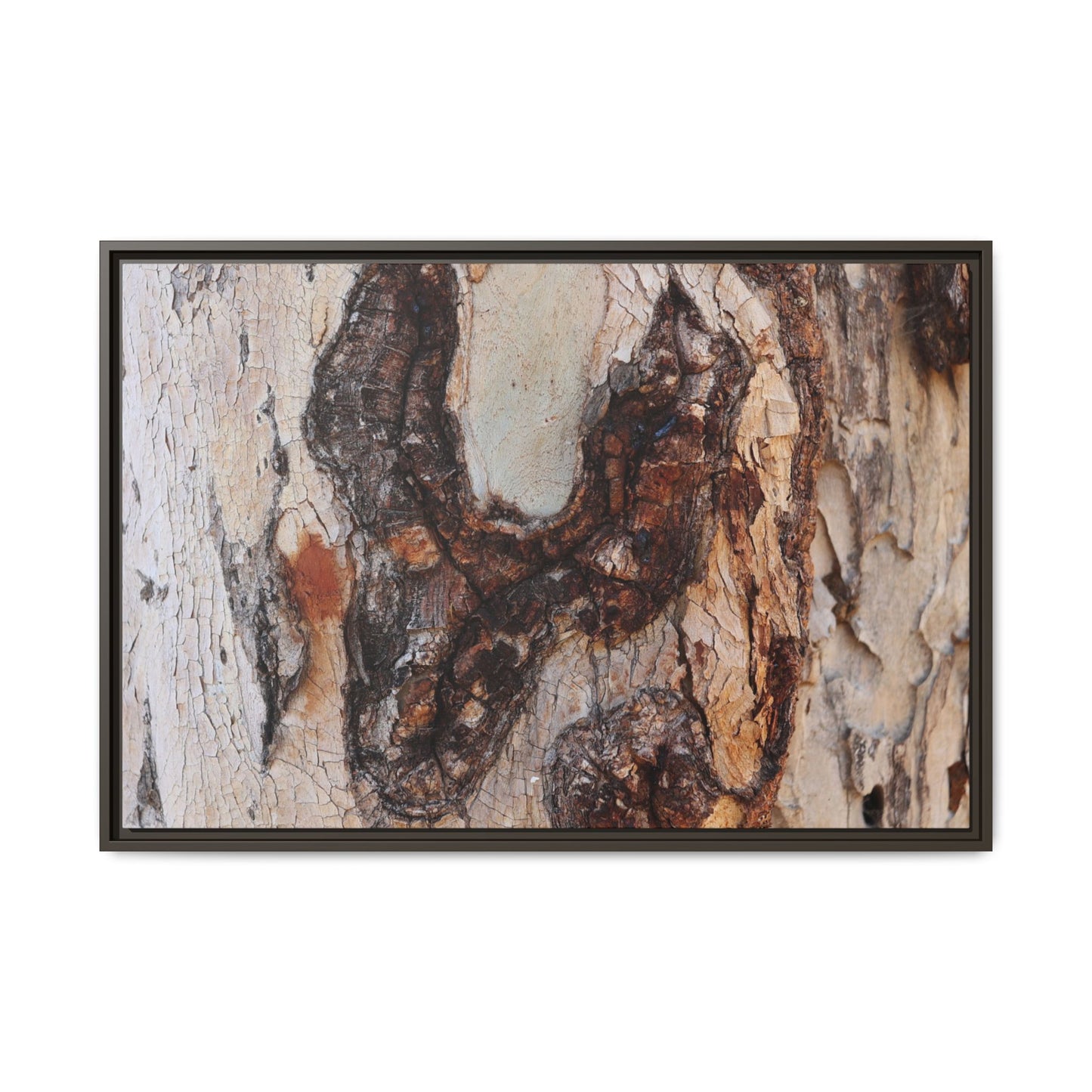 Texture of Time - Unique Stretched Canvas Wall Art - Art By Earth