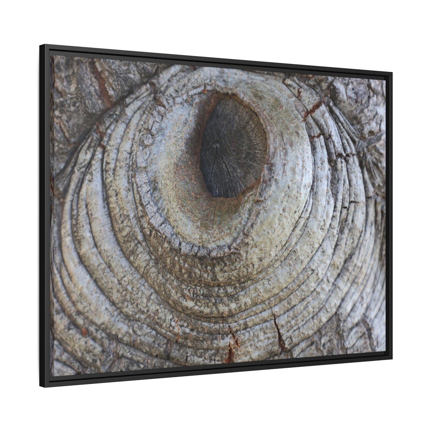 Echoes of Time - Unique Stretched Canvas Wall Art - Art By Earth
