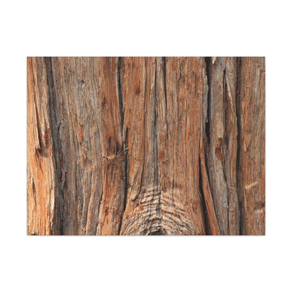 Bark's Ancient Whispers - Unique Frameless Canvas Wall Art - Art By Earth