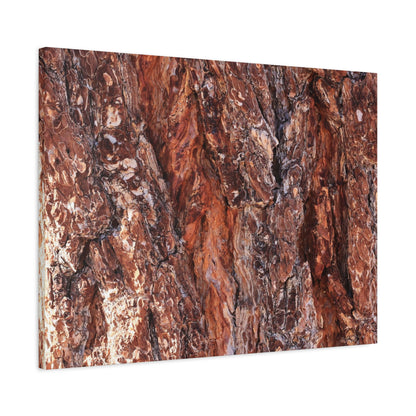 Rust and Ridges - Unique Frameless Canvas Wall Art