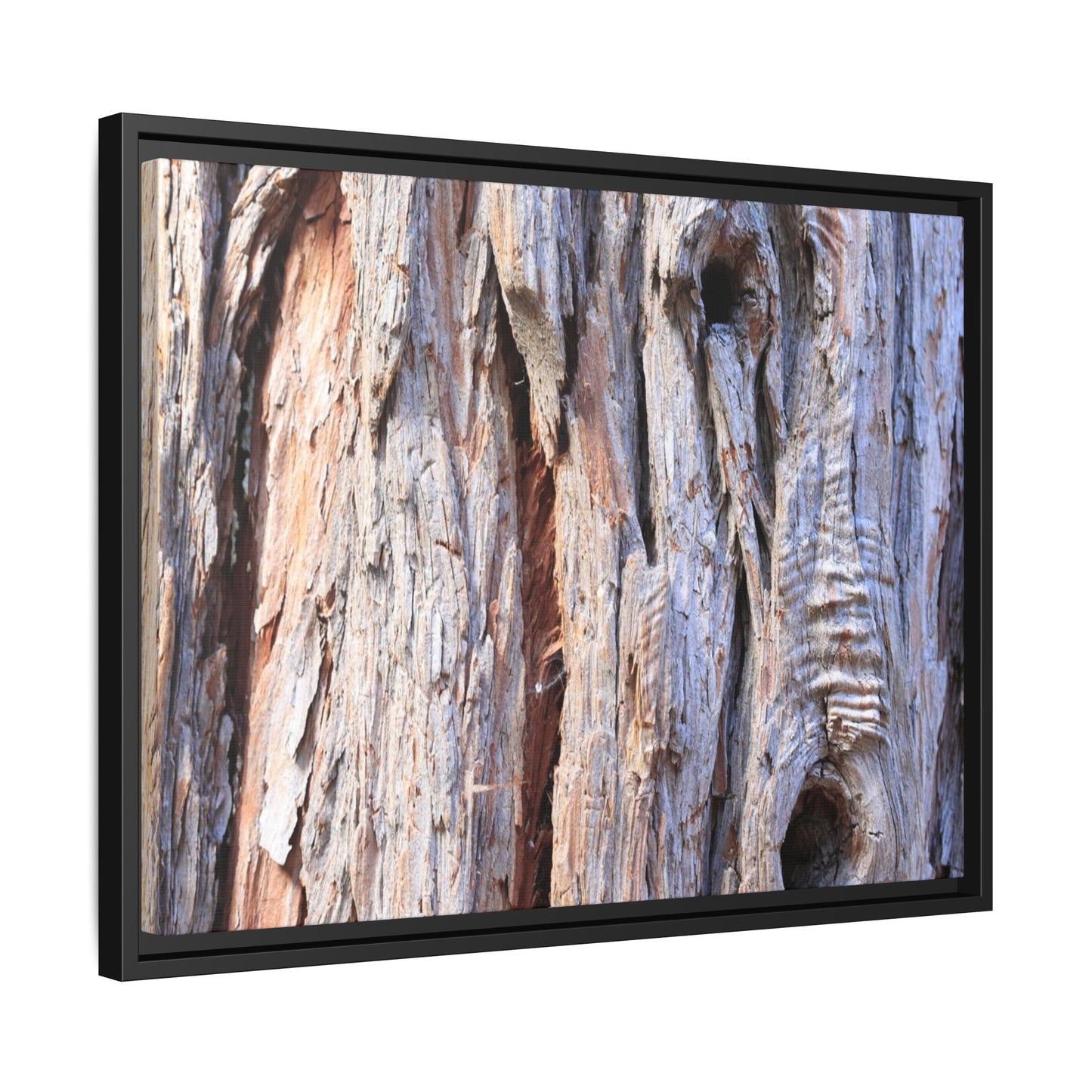 Nature's Grain - Unique Stretched Canvas Wall Art - Art By Earth