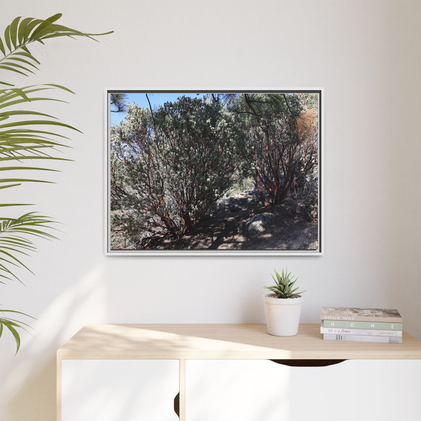 Desert Trail Through Blooming Manzanita - Unique Stretched Canvas Wall Art