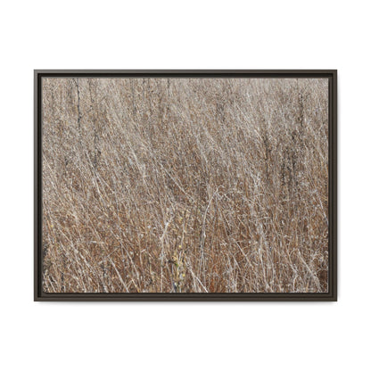Dry Grass Symphony - Unique Stretched Canvas Wall Art - Art By Earth