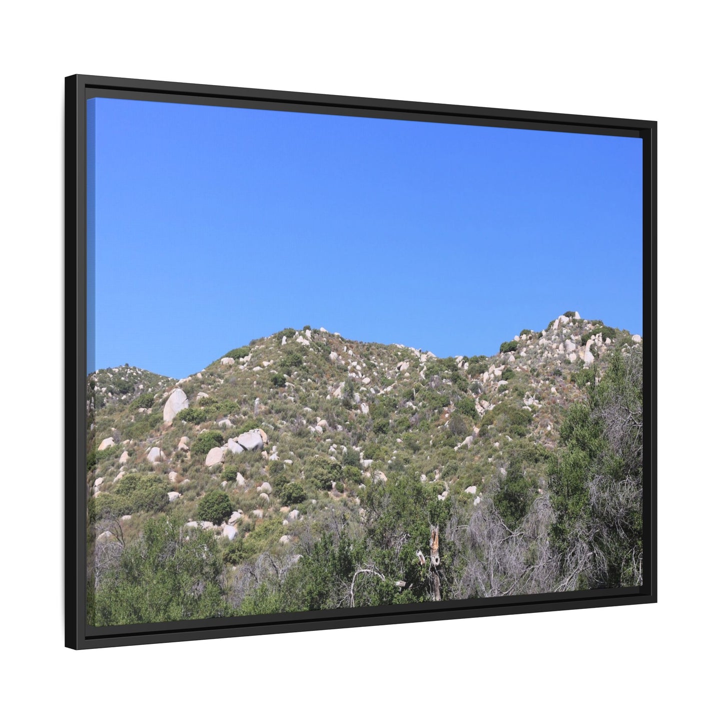 Sparse Vegetation - Unique Stretched Canvas Wall Art