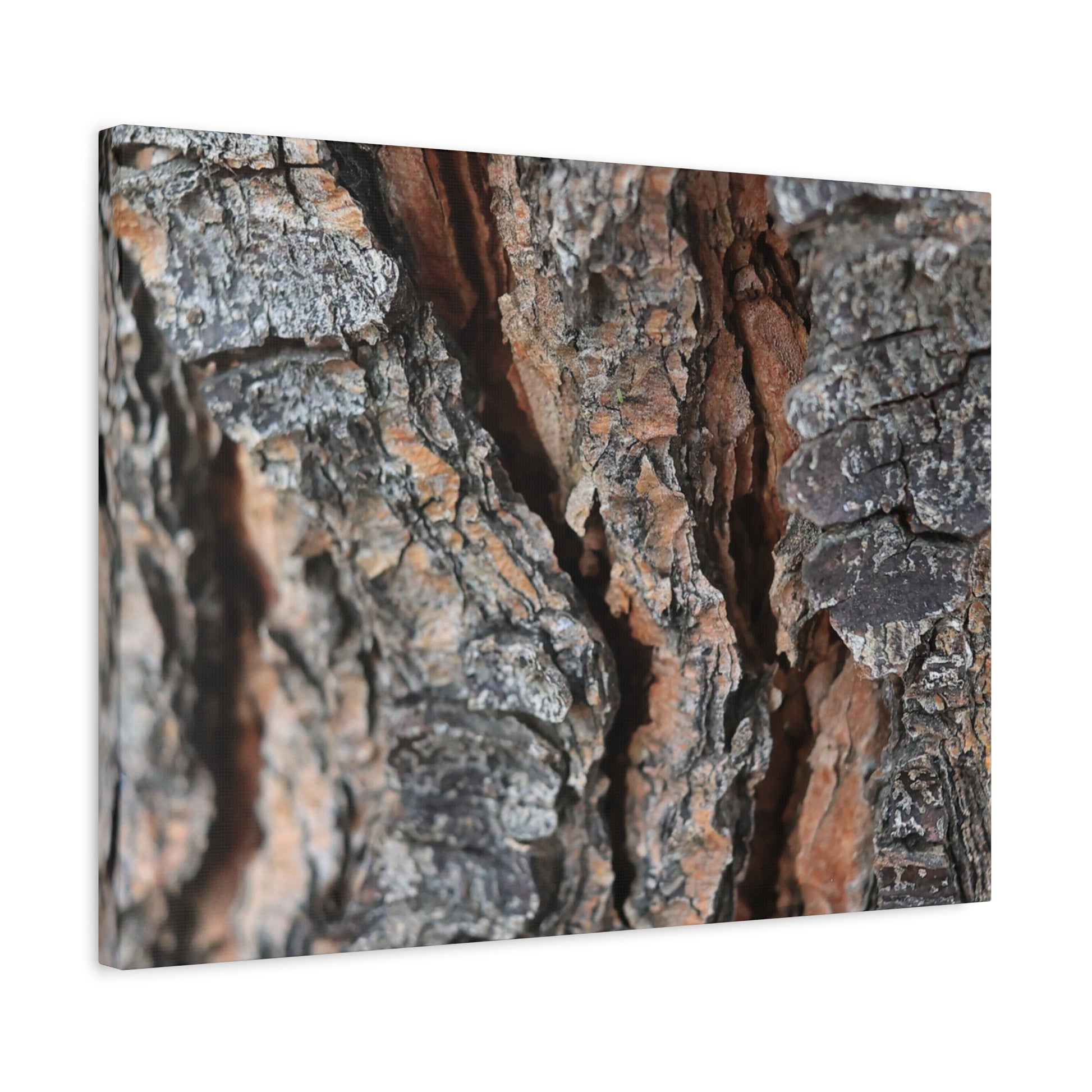 Rough Whispers - Unique Frameless Canvas Wall Art - Art By Earth